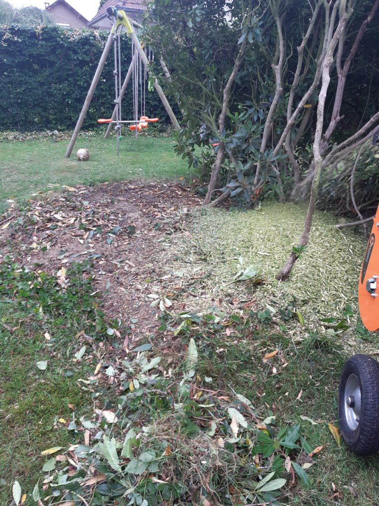 Haie et abords de jardin dégagés après débroussaillage