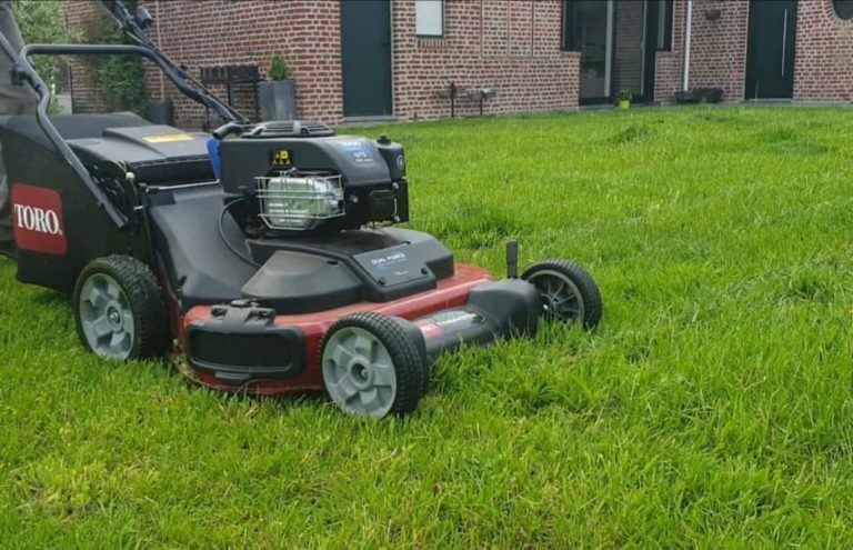 Pelouse fraîchement tondue dans un jardin